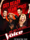 The Voice : Season 6
