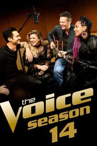 The Voice - Posters
