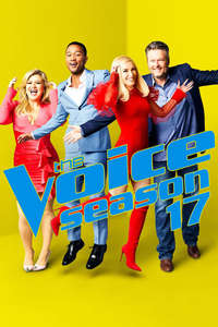 The Voice - Posters