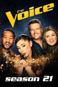 The Voice - Posters