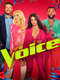 The Voice : Season 22