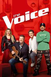 The Voice - Posters