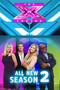 The X Factor - Posters