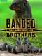 Banded Brothers