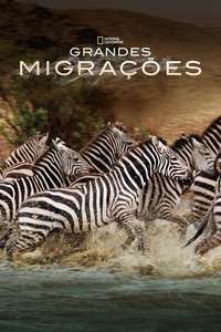 Great Migrations - Poster