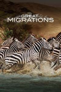 Great Migrations - Poster