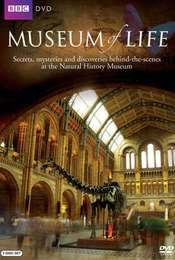 Museum of Life Season 1