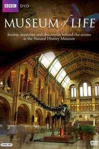 Museum of Life - Poster