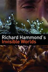Richard Hammond's Invisible Worlds - Poster