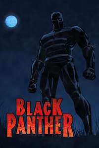 Black Panther - Posters