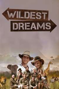 Wildest Dreams - Poster
