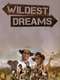 Wildest Dreams