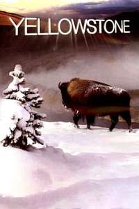 Yellowstone - Poster