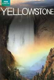 Yellowstone Miniseries