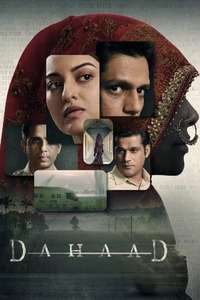 Dahaad - Posters