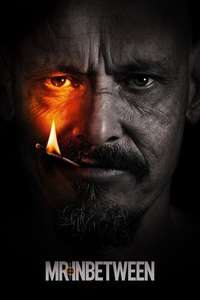 Mr Inbetween - Posters