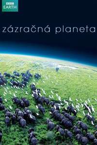 Planet Earth - Posters