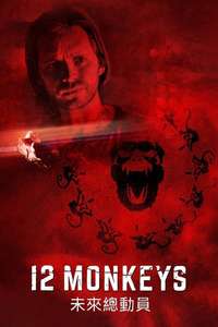12 Monkeys - Posters