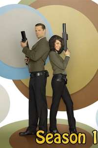 The Middleman - Posters