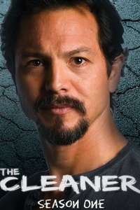The Cleaner - Poster