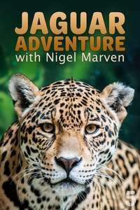 Jaguar Adventure With Nigel Marven - Poster