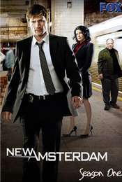 New Amsterdam Season 1