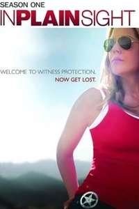 In Plain Sight - Poster