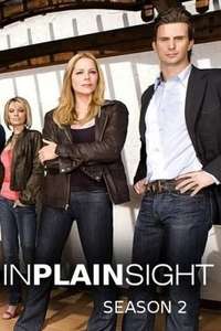 In Plain Sight - Poster
