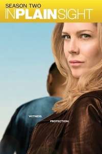 In Plain Sight - Poster