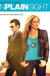 In Plain Sight - Poster