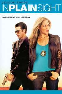 In Plain Sight - Poster