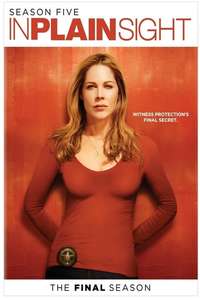 In Plain Sight - Poster