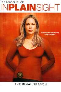In Plain Sight - Poster