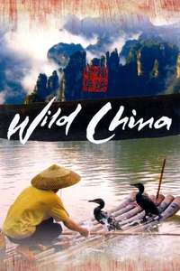 Wild China - Poster
