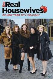 The Real Housewives of New York City Season 1