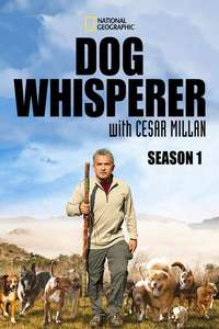 Dog Whisperer - Poster