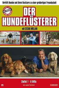 Dog Whisperer - Poster