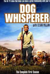 Dog Whisperer Season 1