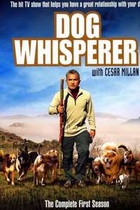 Dog Whisperer - Poster
