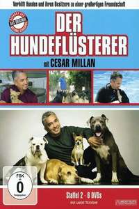 Dog Whisperer - Poster