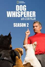 Dog Whisperer Season 2