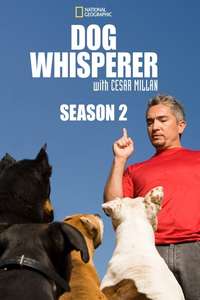 Dog Whisperer - Poster