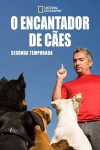 Dog Whisperer - Poster