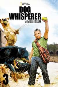 Dog Whisperer - Poster