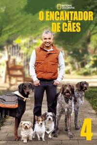 Dog Whisperer - Poster