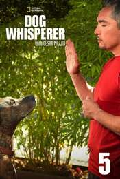 Dog Whisperer Season 5
