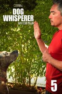 Dog Whisperer - Poster