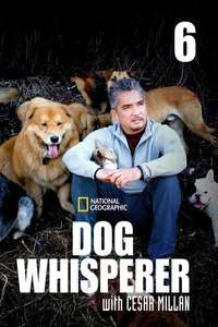 Dog Whisperer - Poster