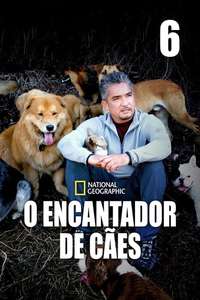 Dog Whisperer - Poster