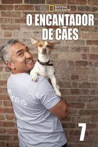 Dog Whisperer - Poster